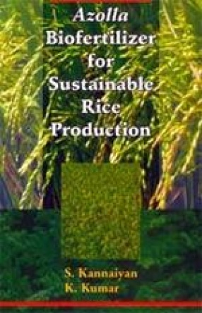 Azolla Biofertilizer for Sustainable Rice Production