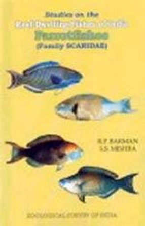 Studies on the Reef-Dwelling Fishes of India: Parrotfishes (Family Scaridae)