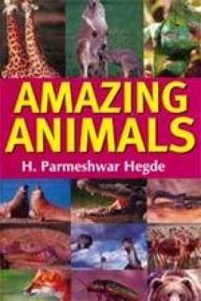 Amazing Animals