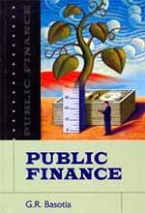 Public Finance