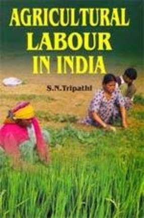 Agricultural Labour in India