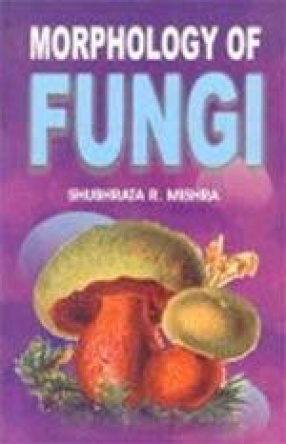 Morphology of Fungi