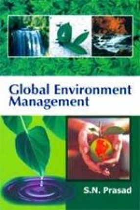 Global Environment Management