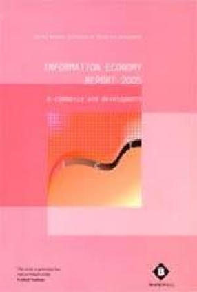 Information Economy Report 2005