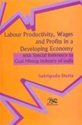 Labour Productivity, Wages and Profits in a Developing Economy