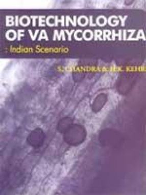 Biotechnology of VA Mycorrhiza: Indian Scenario