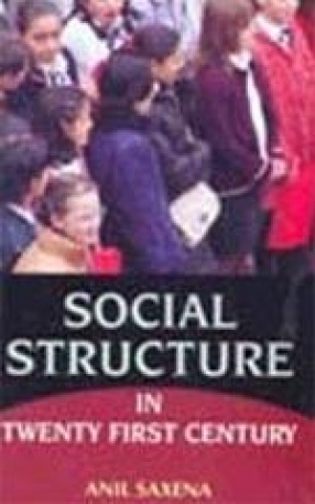 Social Structure in Twenty-First Century