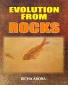 Evolution from Rocks