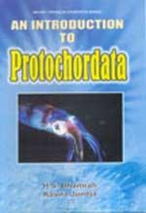 An Introduction to Protochordata