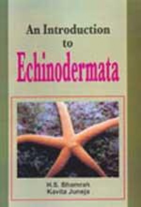 An Introduction to Echinodermata