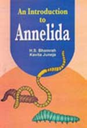 An Introduction to Annelida
