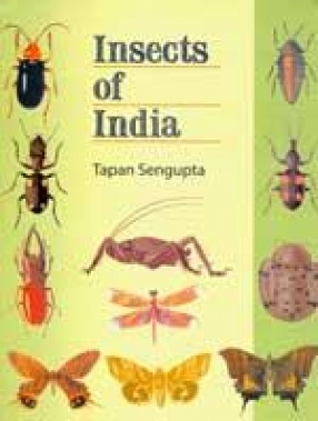 Insects of India