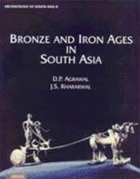 Bronze and Iron Ages in South Asia