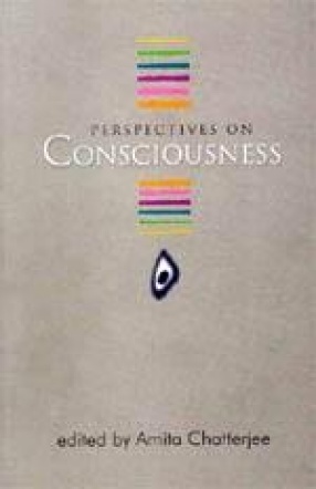 Perspectives on Consciousness