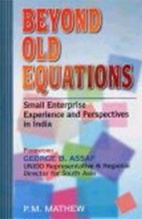 Beyond Old Equations: Small Enterprise Experience and Perspectives in India