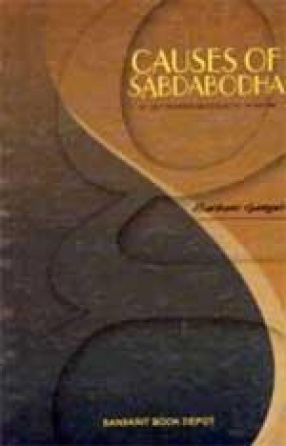 Causes of Sabdabodha: A Grammarianâ€™s View