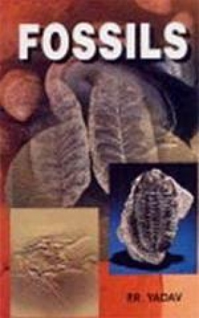 Fossils