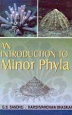 An Introduction to Minor Phyla