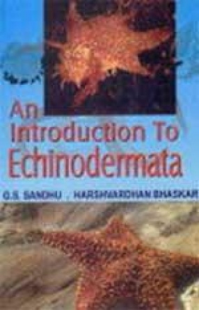 An Introduction to Echinodermata