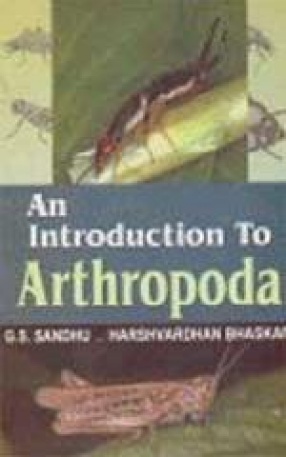 An Introduction to  Arthropoda