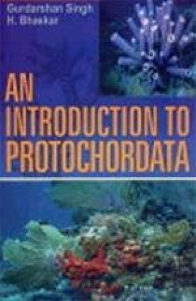 An Introduction to Protochordata