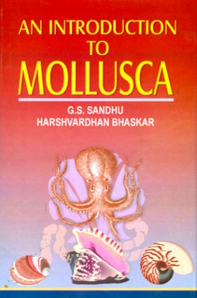 An Introduction to Mollusca