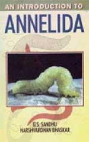 An Introduction to Annelida