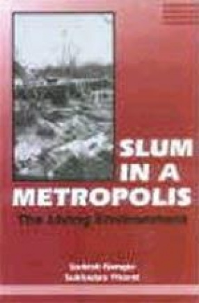 Slum in a Metropolis: The Living Environment