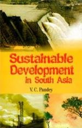 Sustainable Development in South Asia