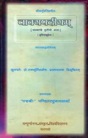 Vakyapadiyam: Pada-Kanda (Part III)