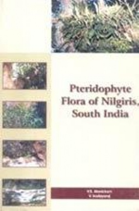 Pteridophyte Flora of Nilgiris, South India