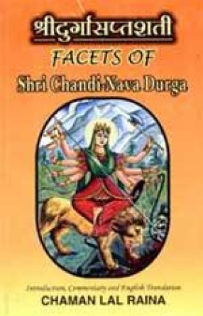 Facets of Shri Chandi-Nava Durga