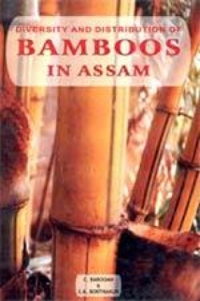 Diversity and Distribution of Bamboos in Assam