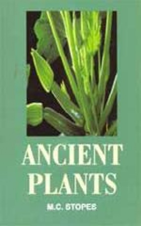Ancient Plants
