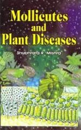 Mollicutes and Plant Diseases