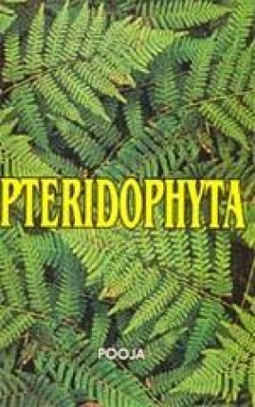 Pteridophyta