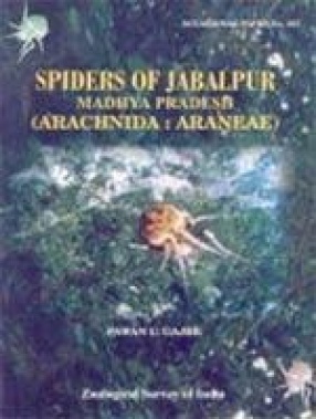 Records of the Zoological Survey of India: Spiders of Jabalpur, Madhya Pradesh: Arachnida: Araneae