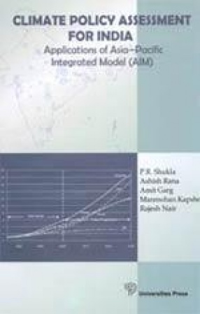 Climate Policy Assessment for India