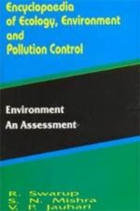Environment: An Assessment (Volume 20)
