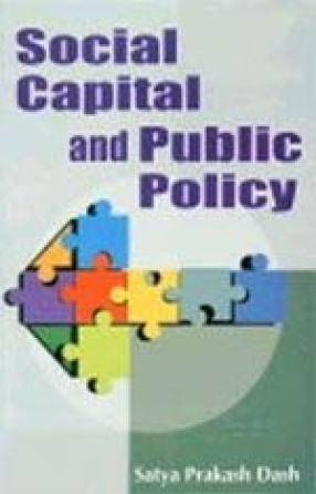 Social Capital and Public Policy