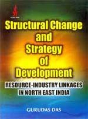 Structural Change and Strategy of Development