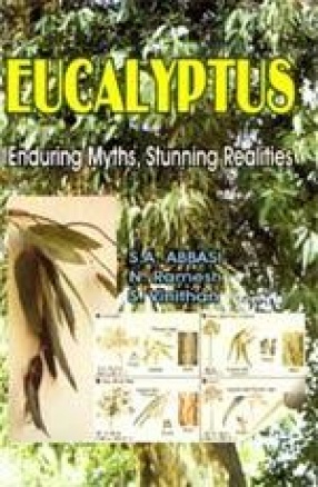 Eucalyptus: Enduring Myths, Stunning Realities