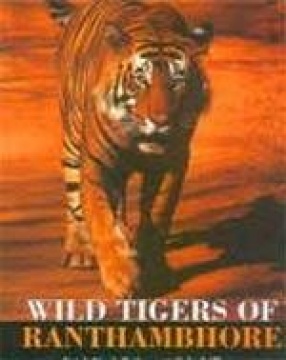 Wild Tigers of Ranthambhore