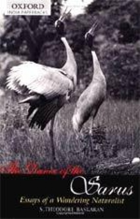 The Dance of the Sarus
