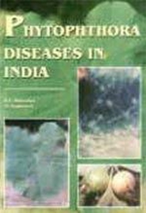 Phytophthora Diseases in India