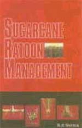 Sugarcane Ratoon Management