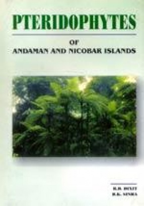 Pteridophytes of Andaman and Nicobar Islands
