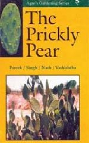 The Prickly Pear: Opuntia Ficus-Indica L. Mill