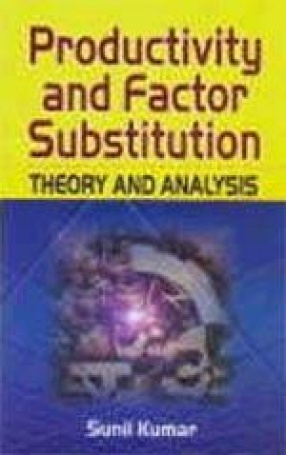 Productivity and Factor Substitution: Theory and Analysis