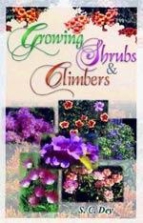 Growing Shrubs and Climbers